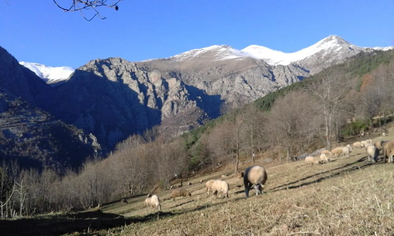 Allotjament Taga Ribes De Freser